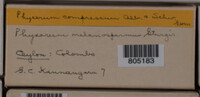 Image Associated With the Occurence